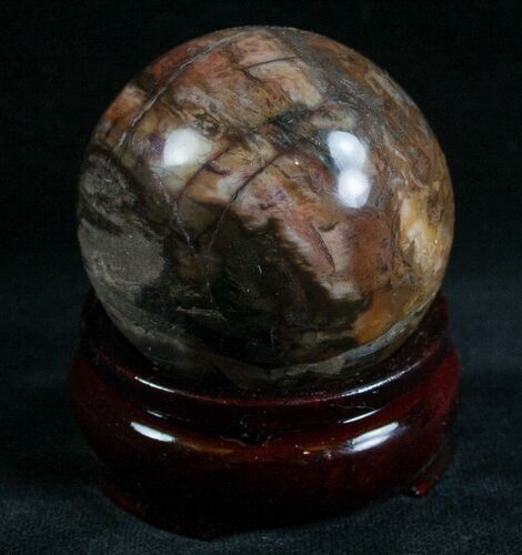 Colorful Petrified Wood Sphere #6793